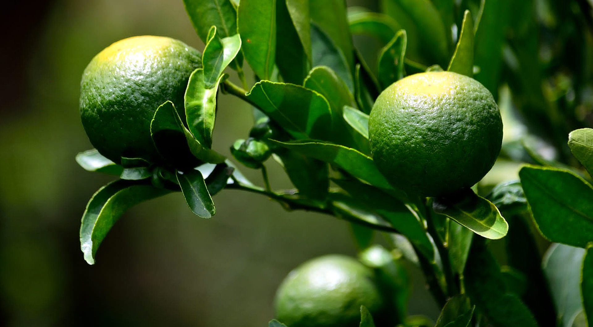 AGGAME·(中国区)集团官方网站