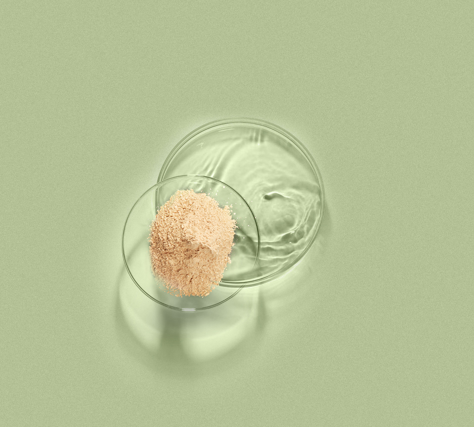 AGGAME·(中国区)集团官方网站