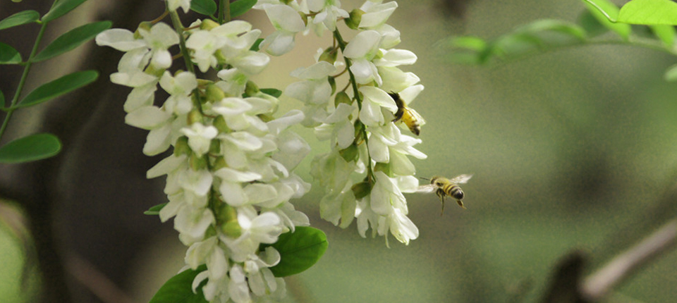 AGGAME·(中国区)集团官方网站